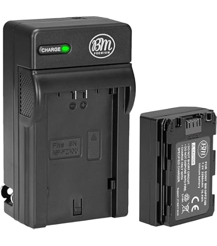 Amazon.com: BM Premium NP-FZ100 Battery for Sony Alpha 1, ZV-E1